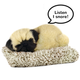 Mini  - Pug