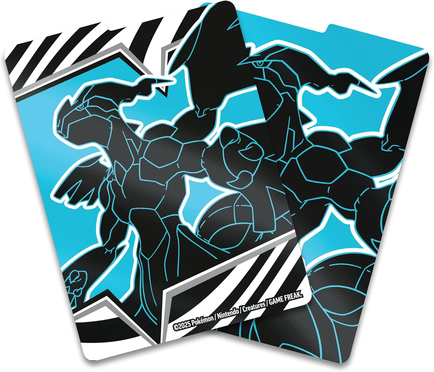 Black Flare Elite Trainer Box