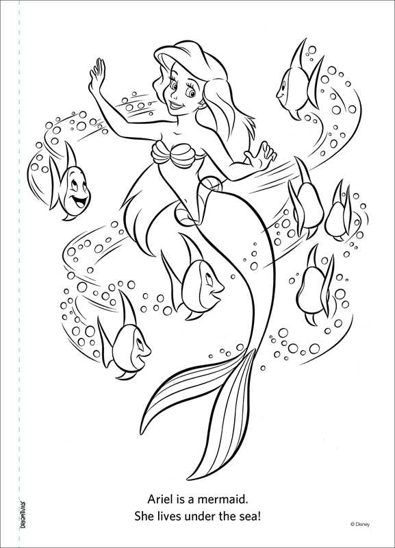 Disney Little Mermaid: Enchanted Adventures by Editors of Dreamtivity