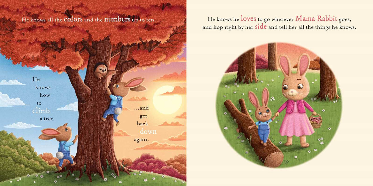 Do You Know How Much I Love You?: Padded Board Book by Em Bruce