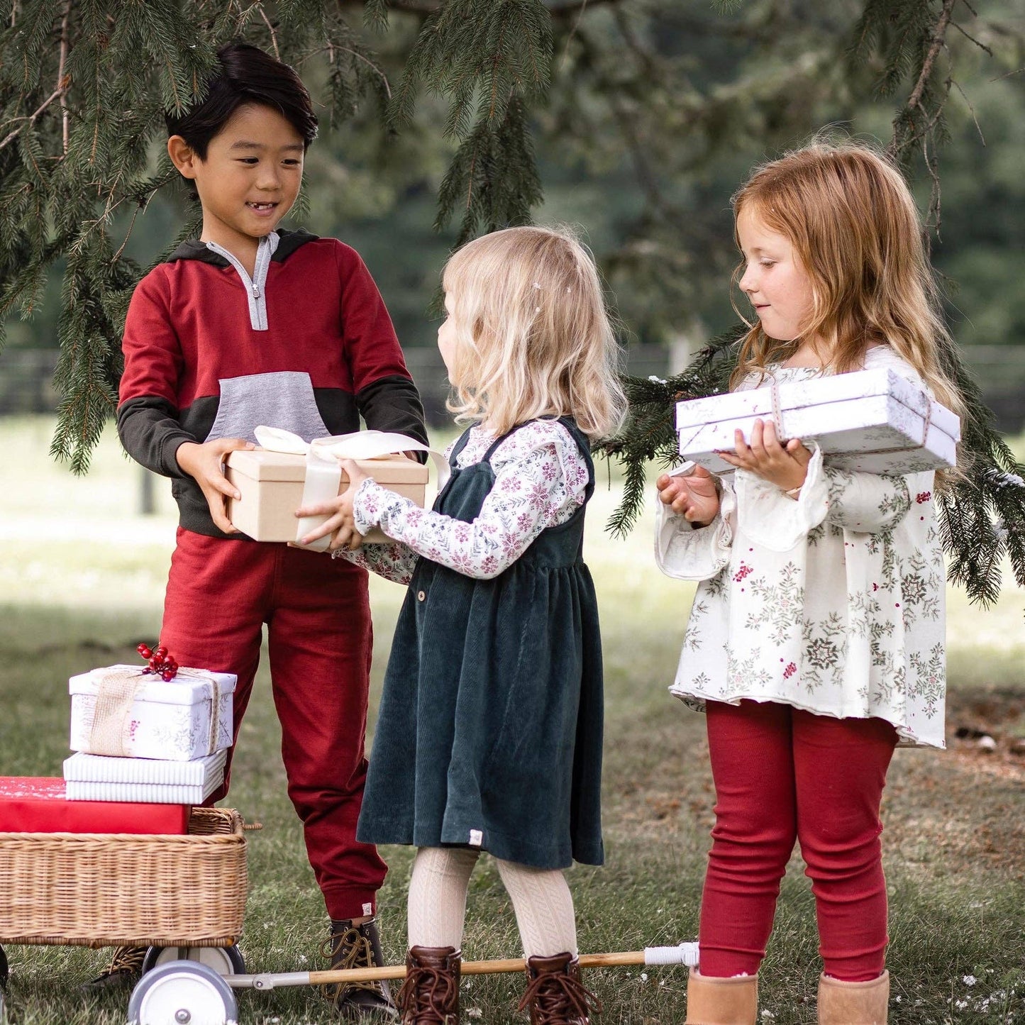 Poinsettia Fair Isle Organic Girl Tee & Dress Set
