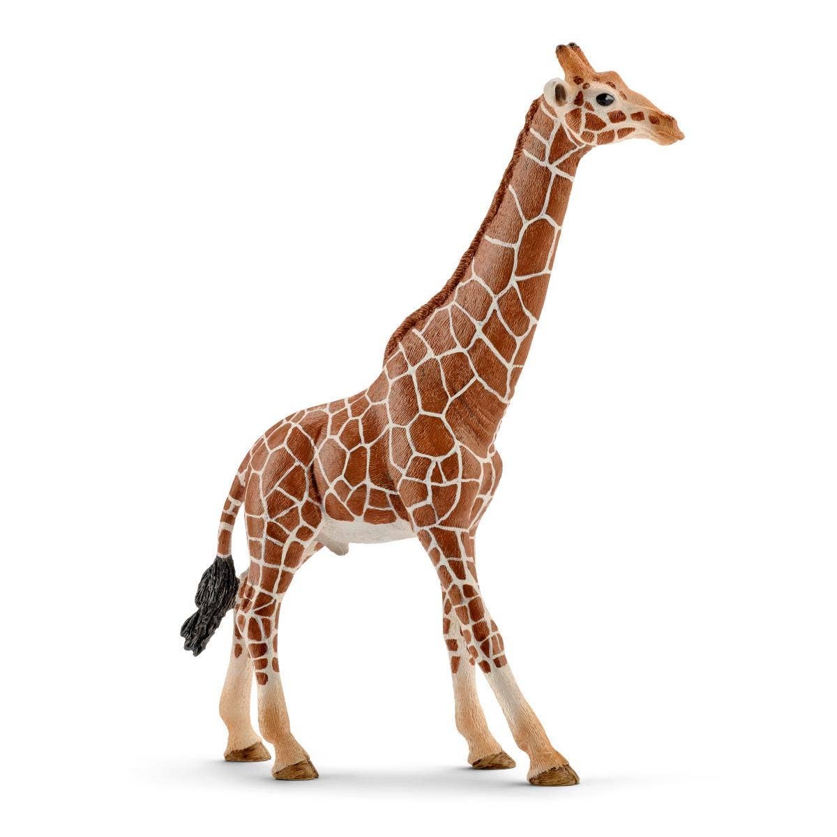 Giraffe, Male Safari Animal Toy