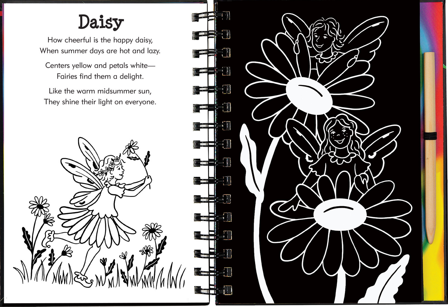 Scratch & Sketch™ Garden Fairies (Trace Along)