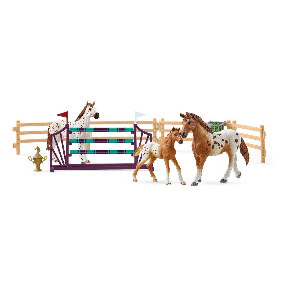 Horse Club Lisa’S Tournament Training  Horse Toy Playset