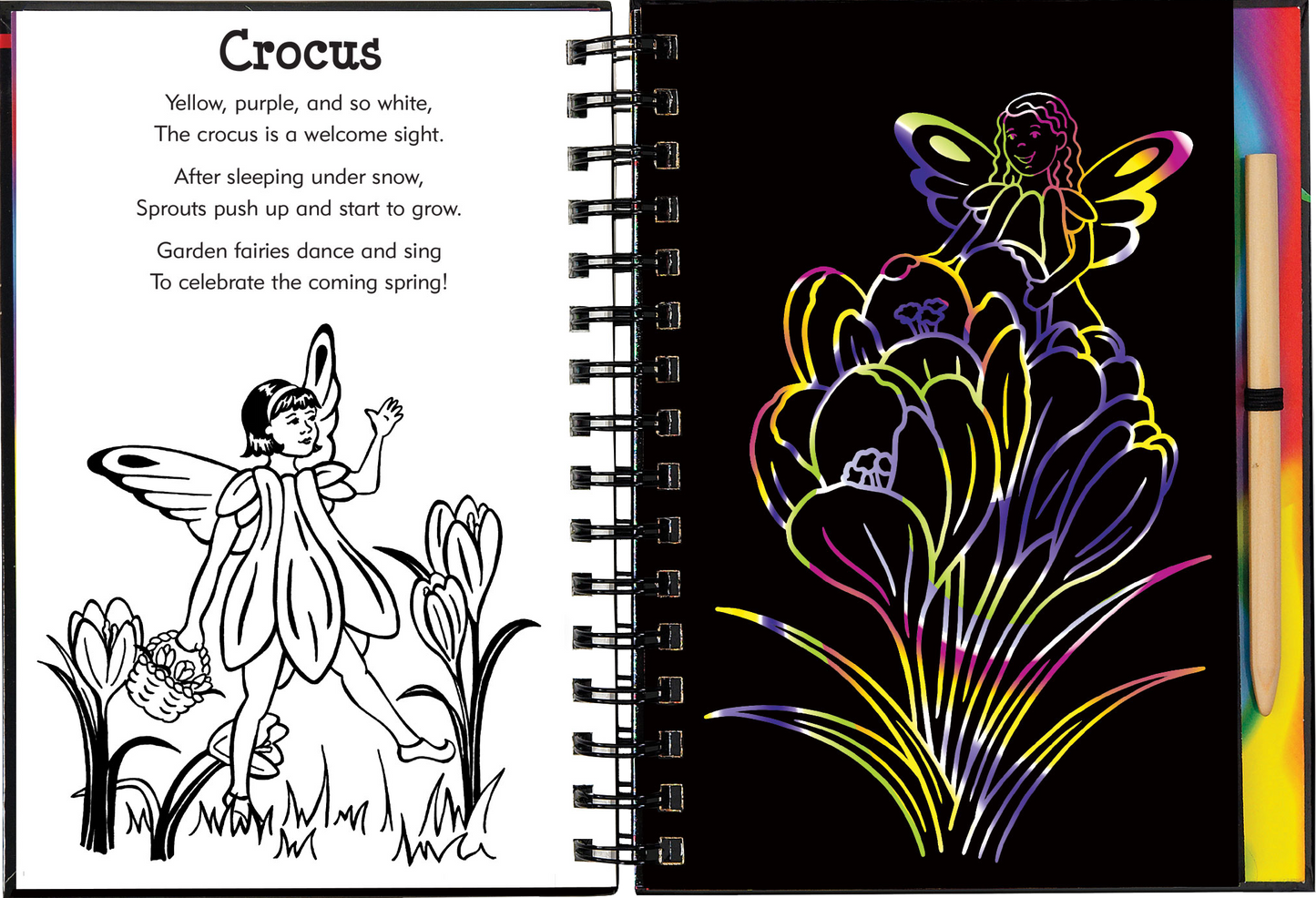 Scratch & Sketch™ Garden Fairies (Trace Along)