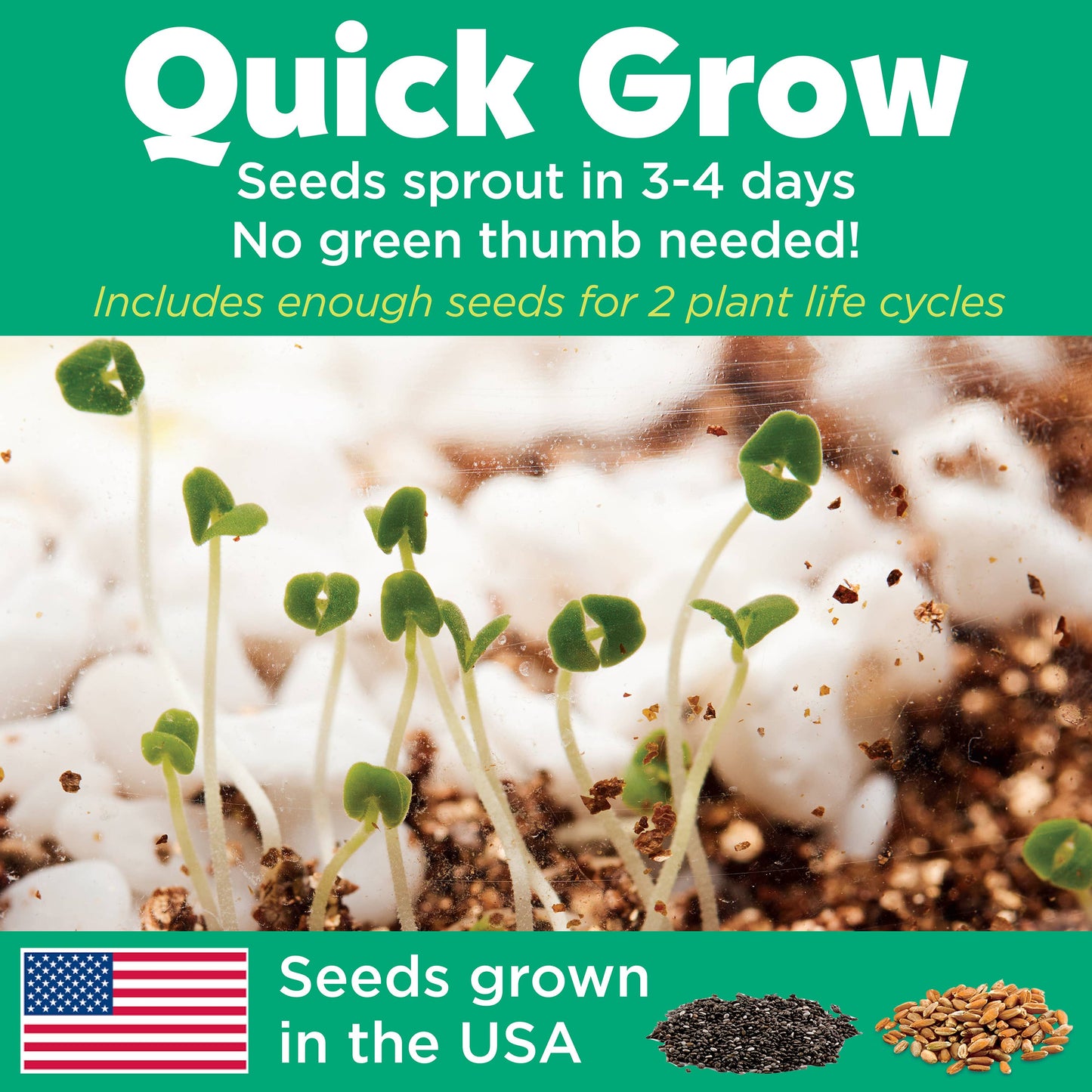 Grow N' Glow Terrarium DIY Craft Kit for Kids