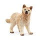 Arctic Wolf cub