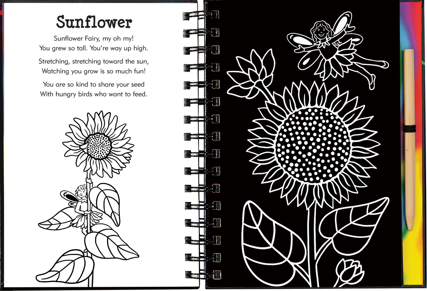 Scratch & Sketch™ Garden Fairies (Trace Along)