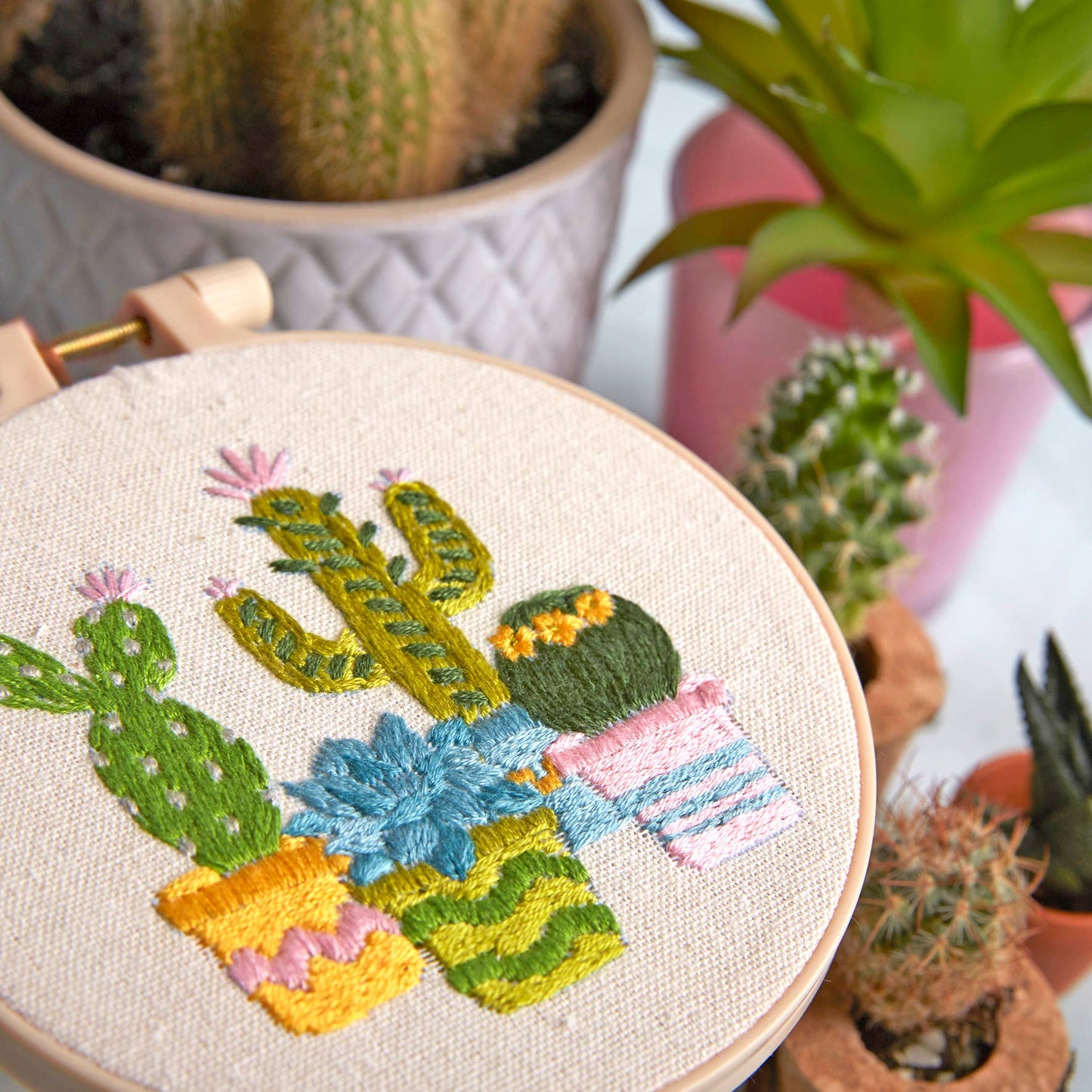 Embroidery By Numbers Stitch Kit - Cacti