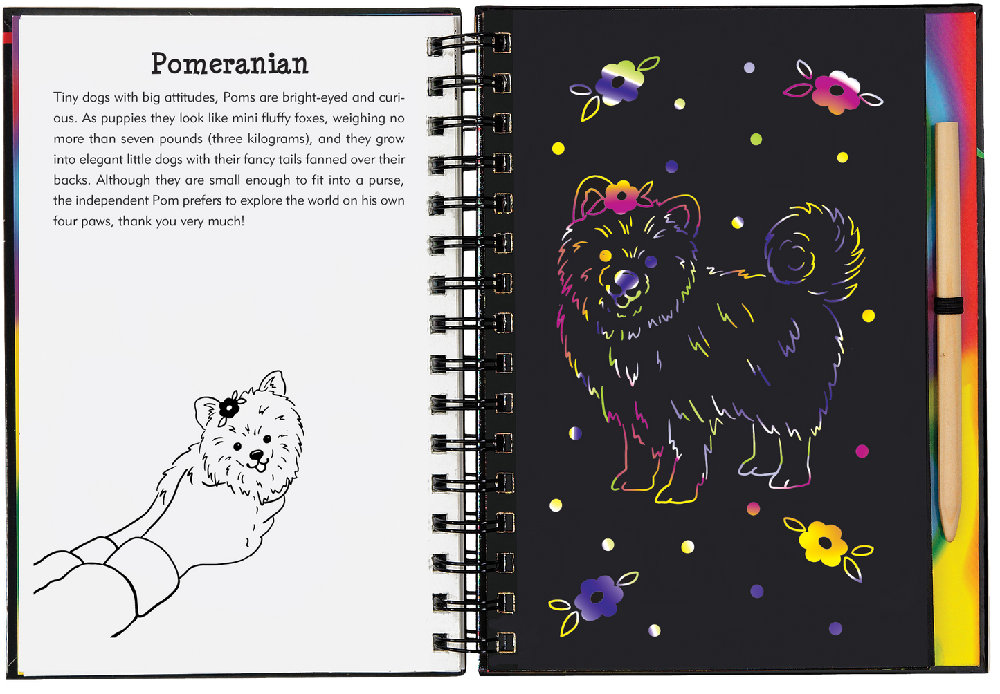 Scratch & Sketch™ Puppies (Trace Along)