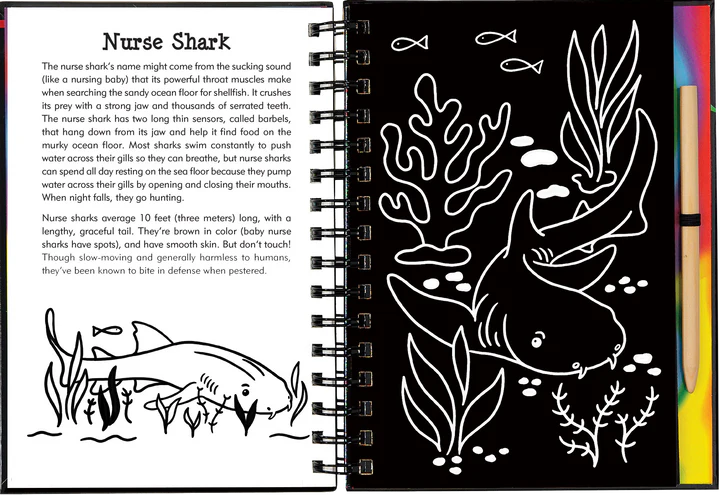 Sharks Scratch & Sketch