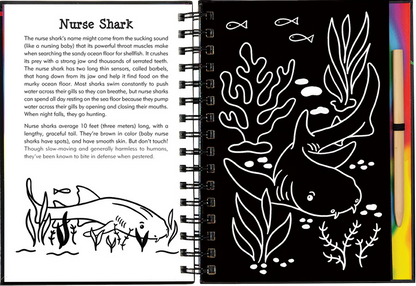 Sharks Scratch & Sketch