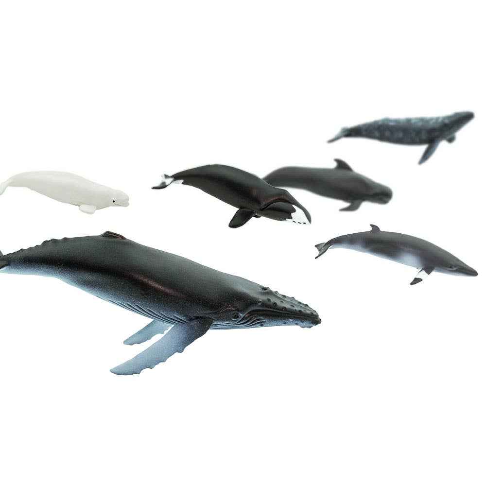 Whales TOOB® - 100072