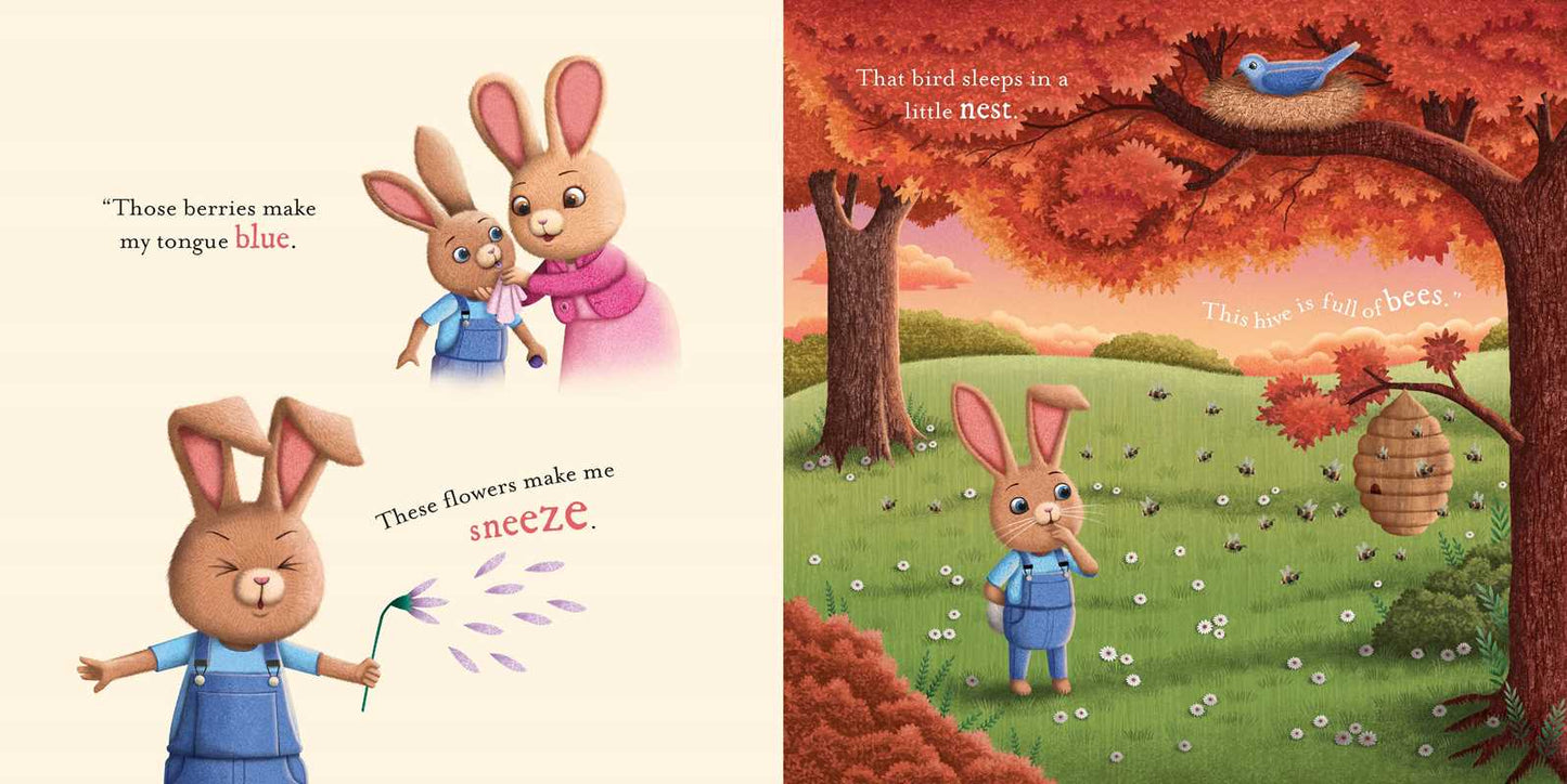 Do You Know How Much I Love You?: Padded Board Book by Em Bruce
