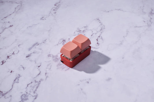2 Key Mechanical Keyboard Fidget Keychain - Two-Tone Series