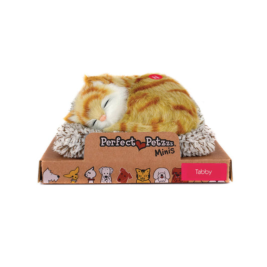 Mini  - Orange Tabby