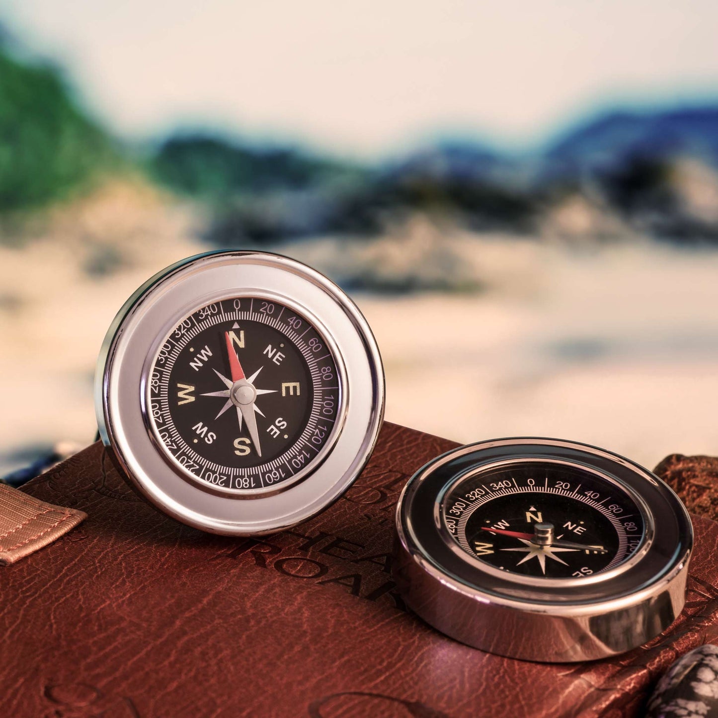 Compass Stainless Steel Scientific Tool