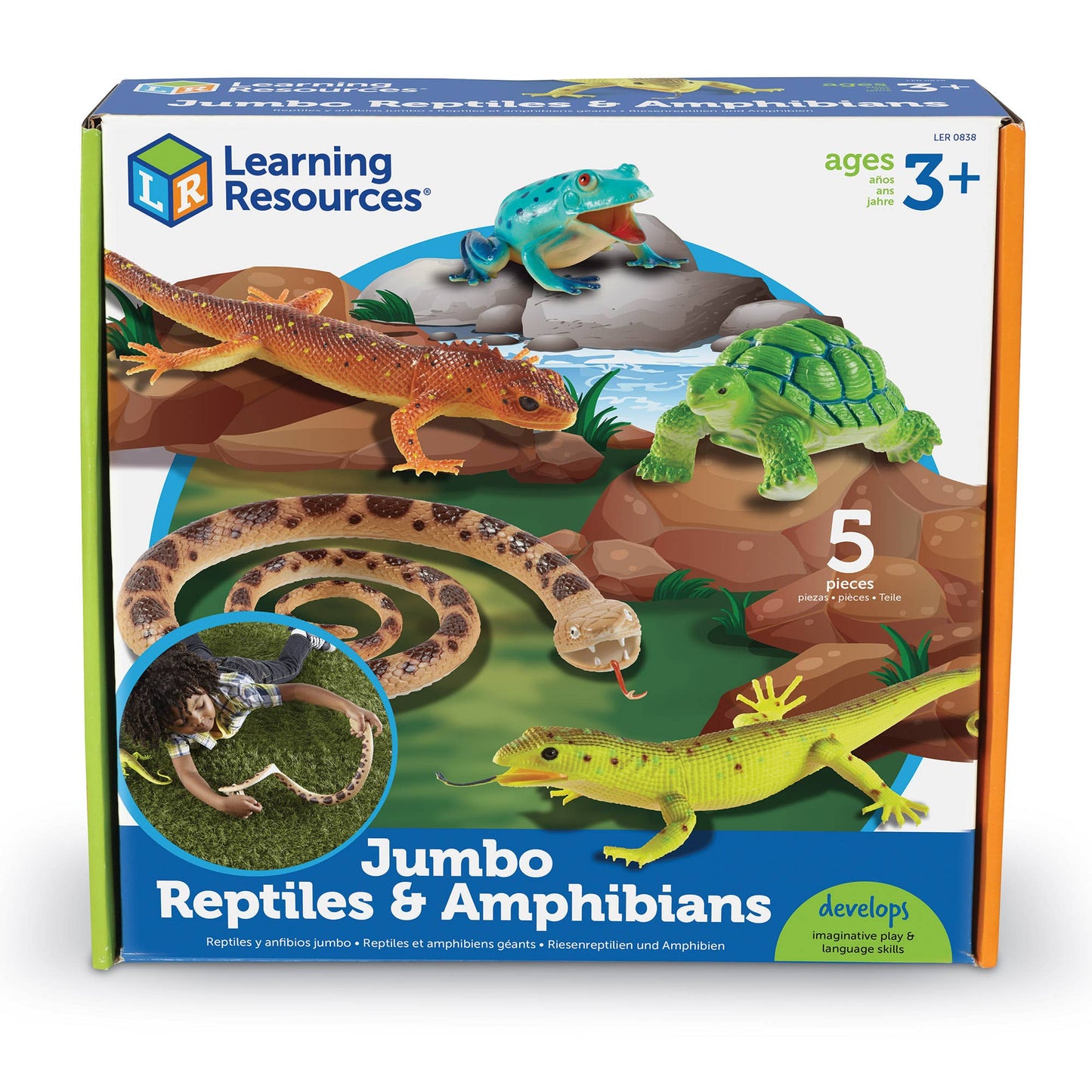 Jumbo Reptiles & Amphibians