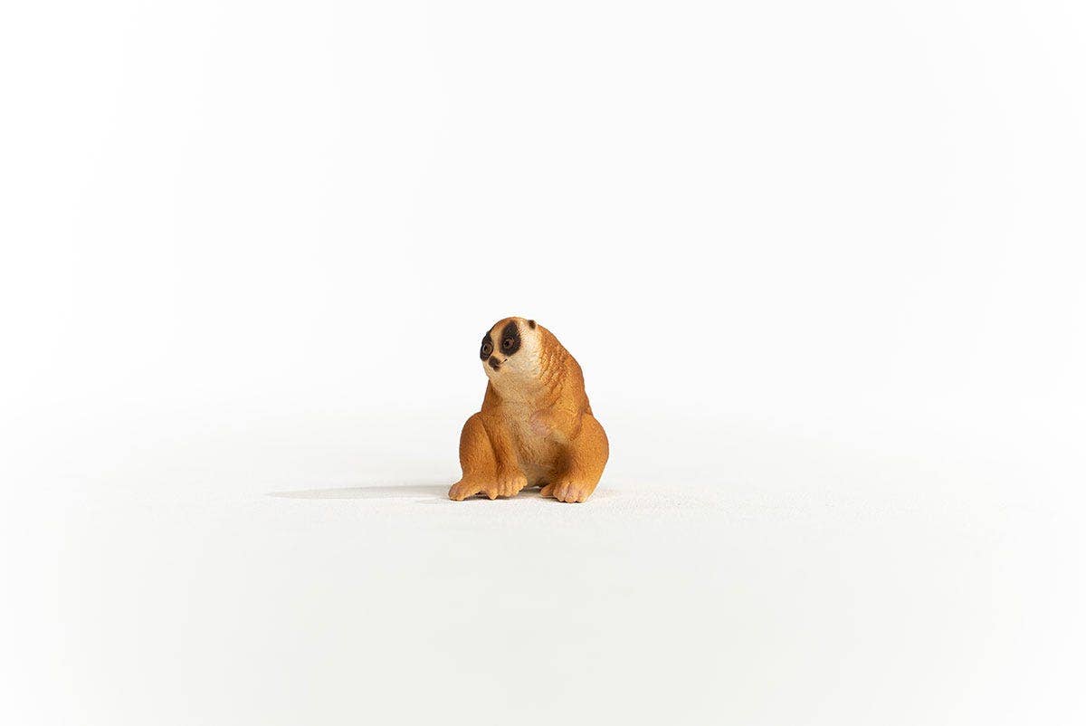 Slow Loris Animal Toy