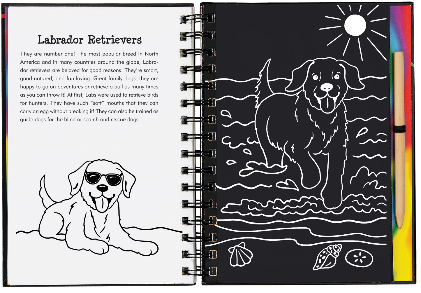 Scratch & Sketch™ Puppies (Trace Along)