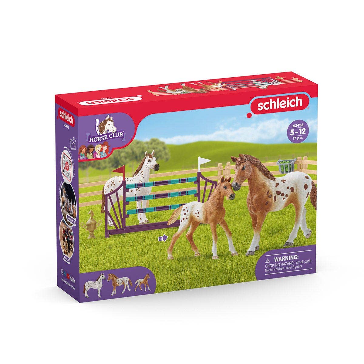 Horse Club Lisa’S Tournament Training  Horse Toy Playset