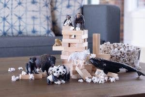 North Atlantic Right Whale