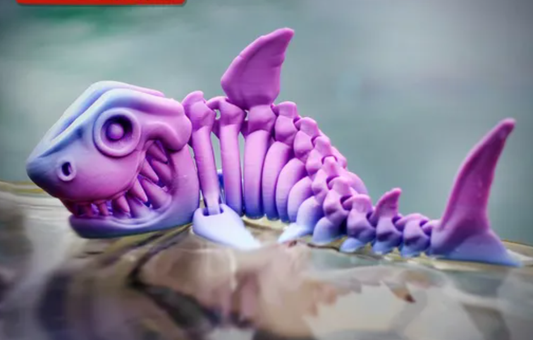 Medium Shark Skeleton