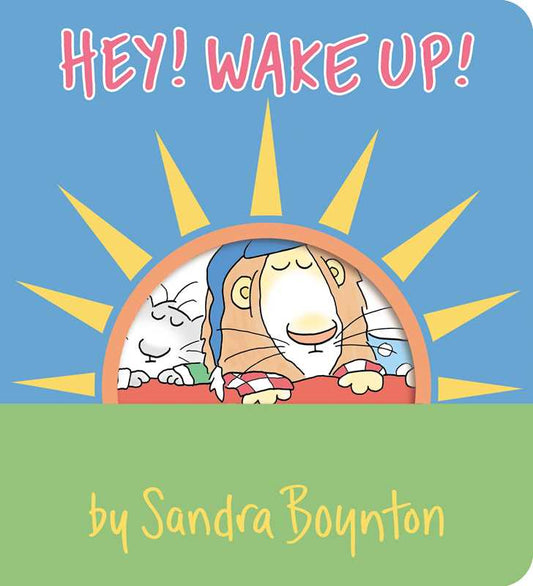 Hey! Wake Up! by Sandra Boynton
