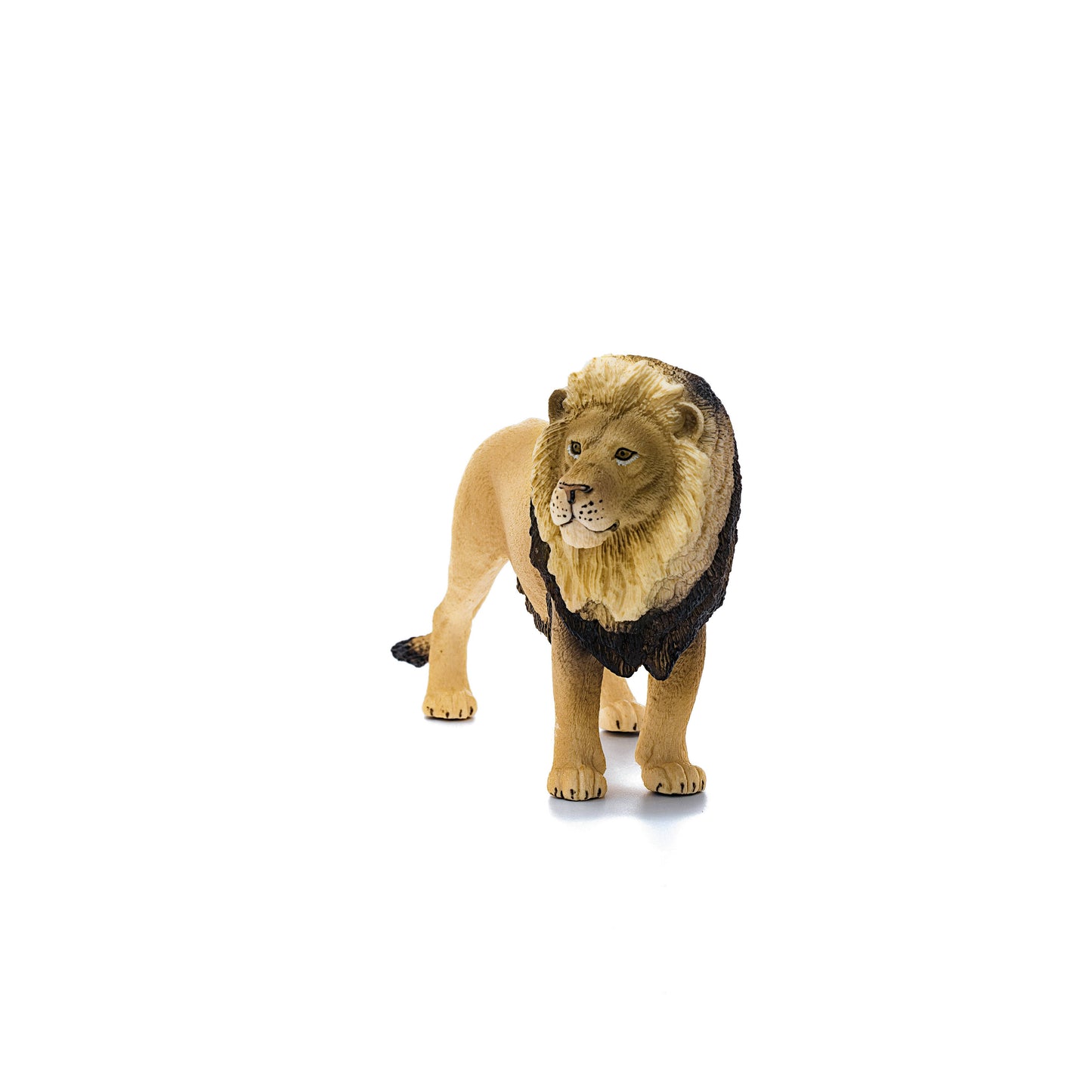 Lion Safari Animal Toy