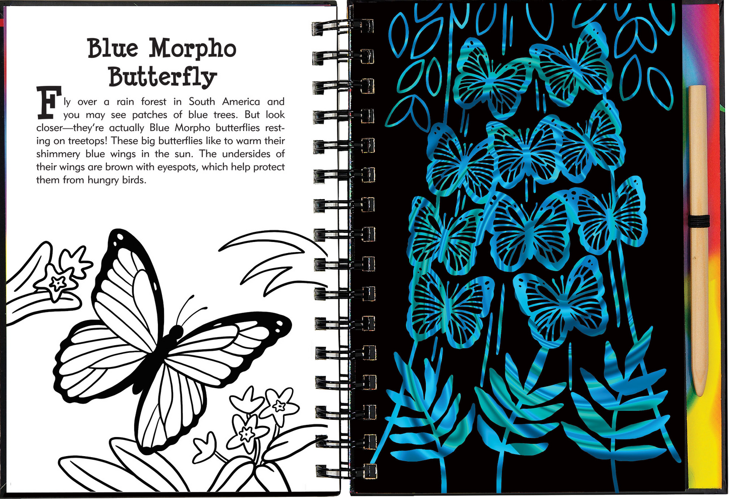 Scratch & Sketch™ Butterflies & Friends (Trace Along)