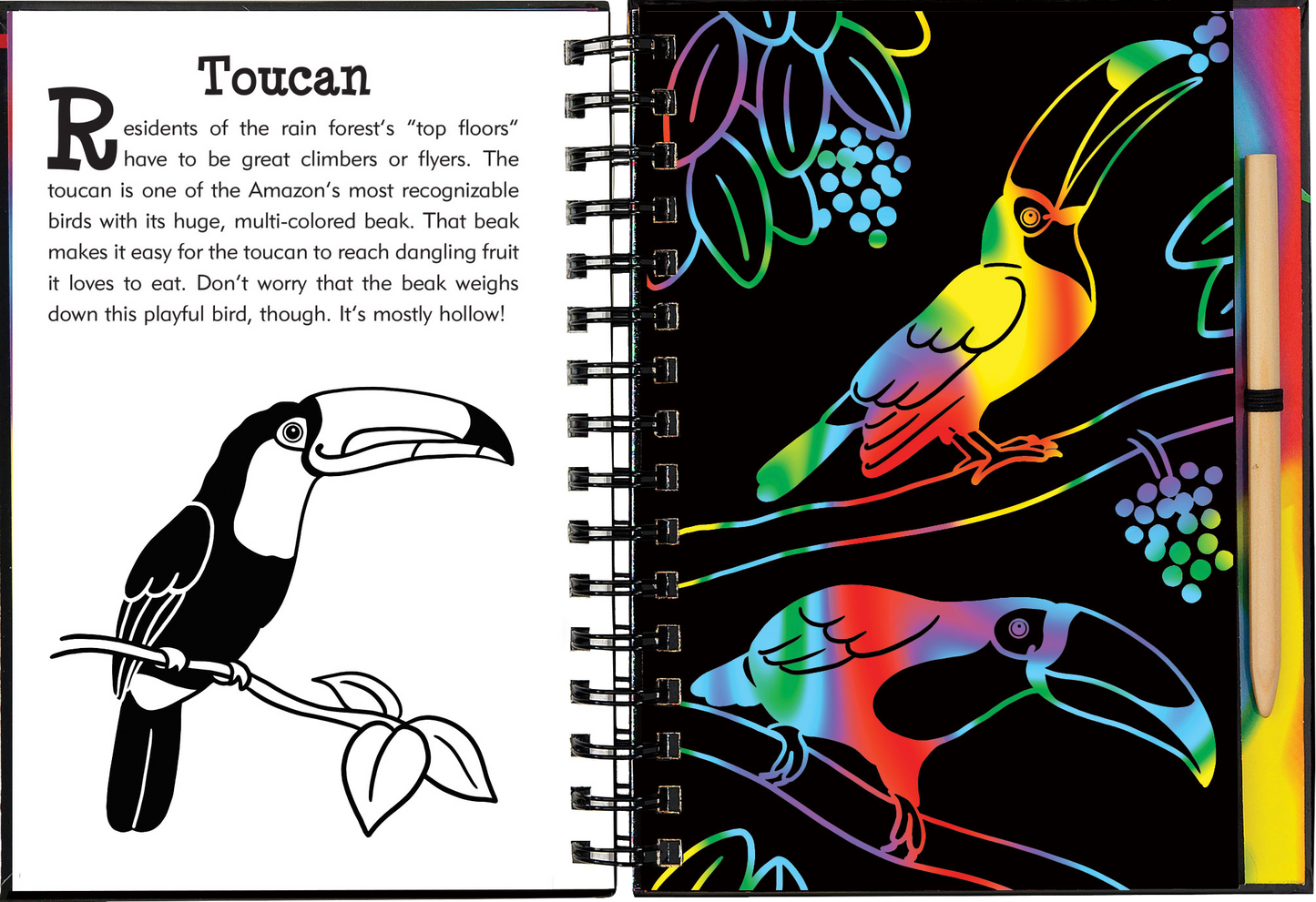 Scratch & Sketch™ Rain Forest (Trace Along)