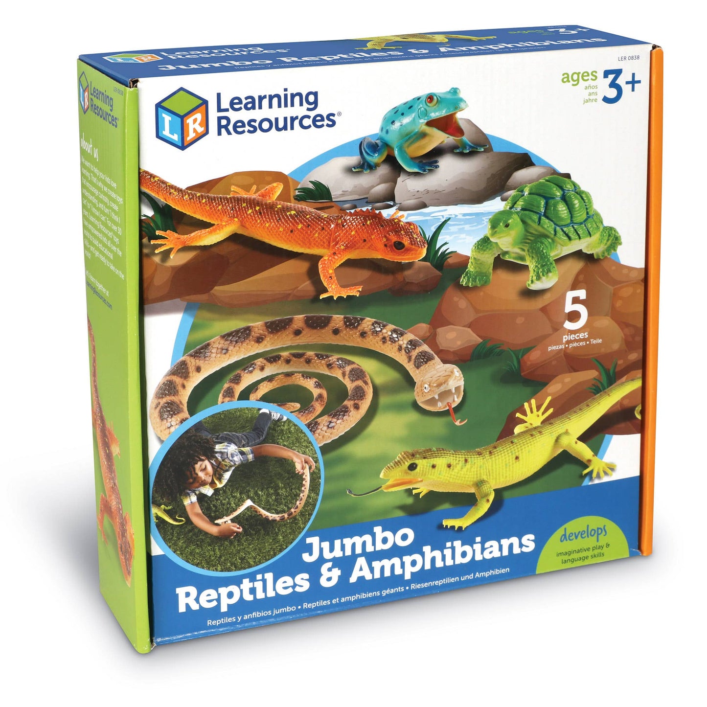 Jumbo Reptiles & Amphibians