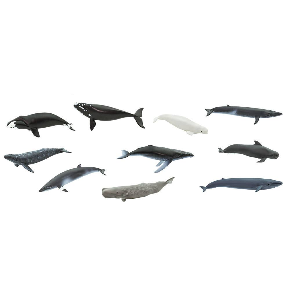 Whales TOOB® - 100072