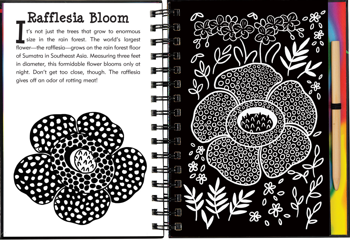 Scratch & Sketch™ Rain Forest (Trace Along)