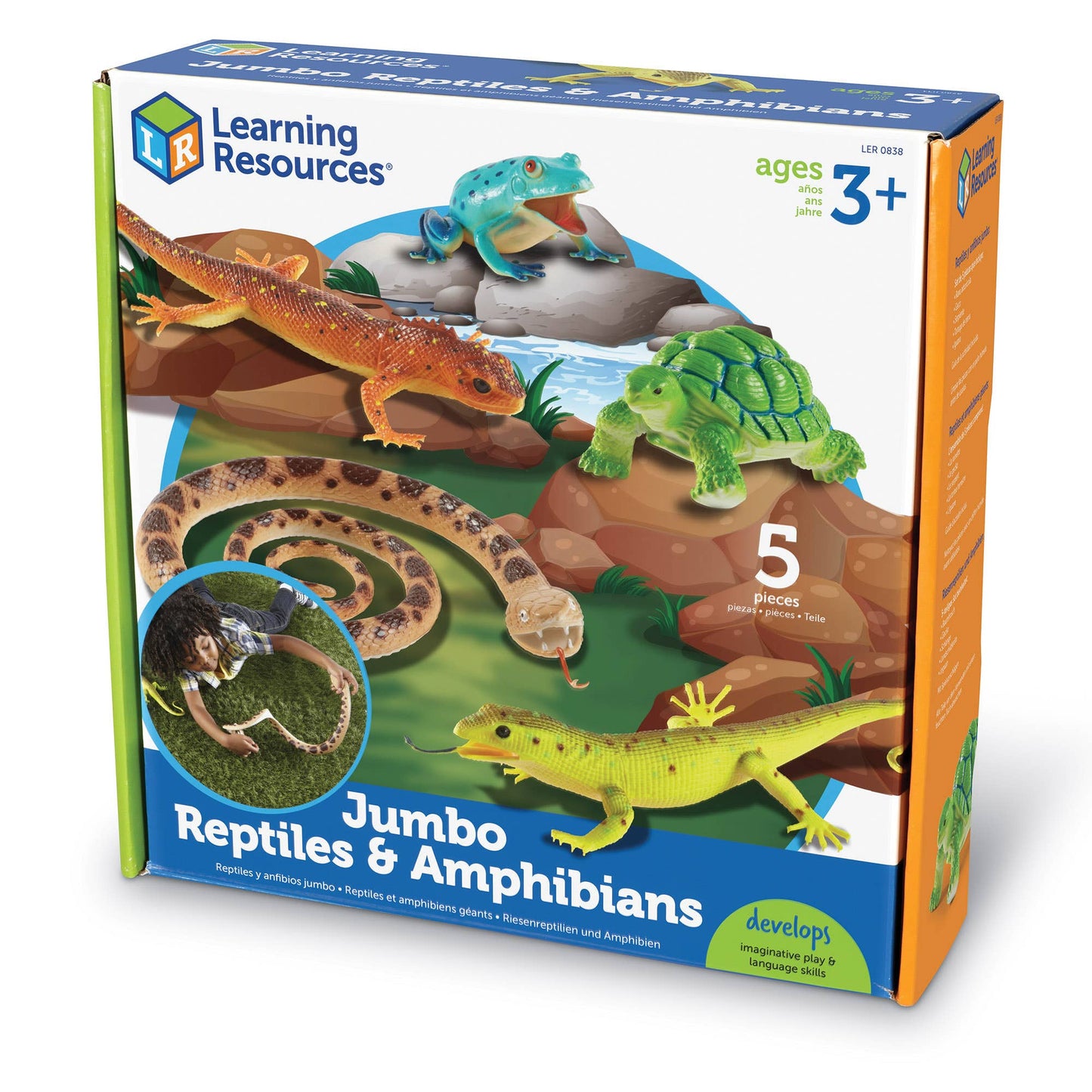 Jumbo Reptiles & Amphibians