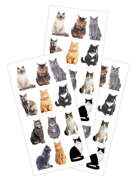 Mini Mixed Cats Sticker - Flat Design