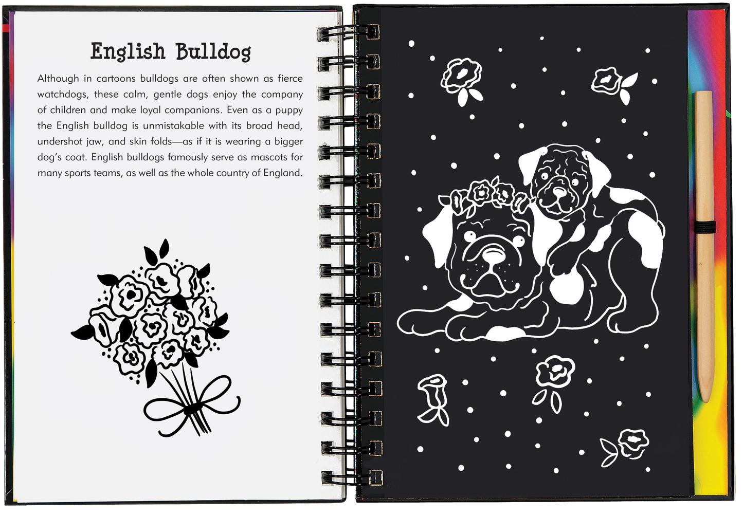 Scratch & Sketch™ Puppies (Trace Along)