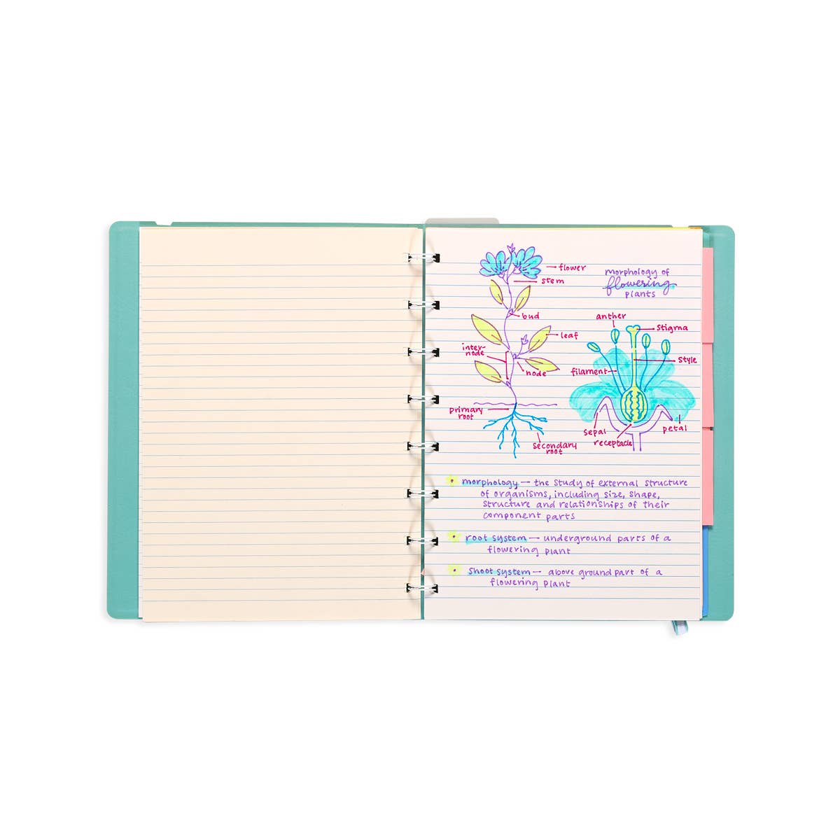 Writer's Duo: Double-Ended Fountain Pens & Highlighters