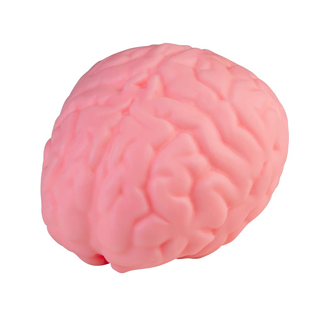 ORB™ Curiosities Easy Sqweezy Jumbo Brainy