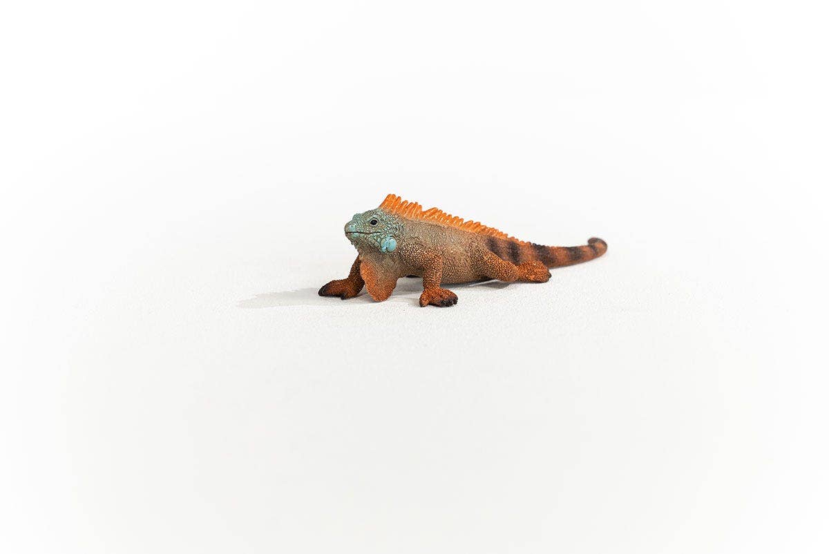 Iguana Animal Toy