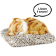 Mini  - Orange Tabby