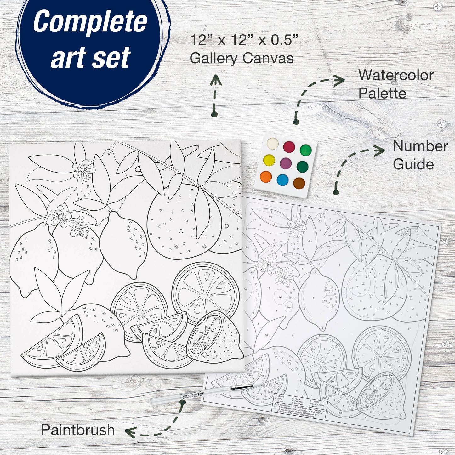 Watercolor Paint by Number Produce Wall Decor Craft