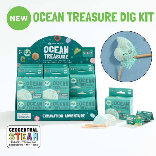 Ocean Treasure Dig Kit – STEAM Children’s Enrichment