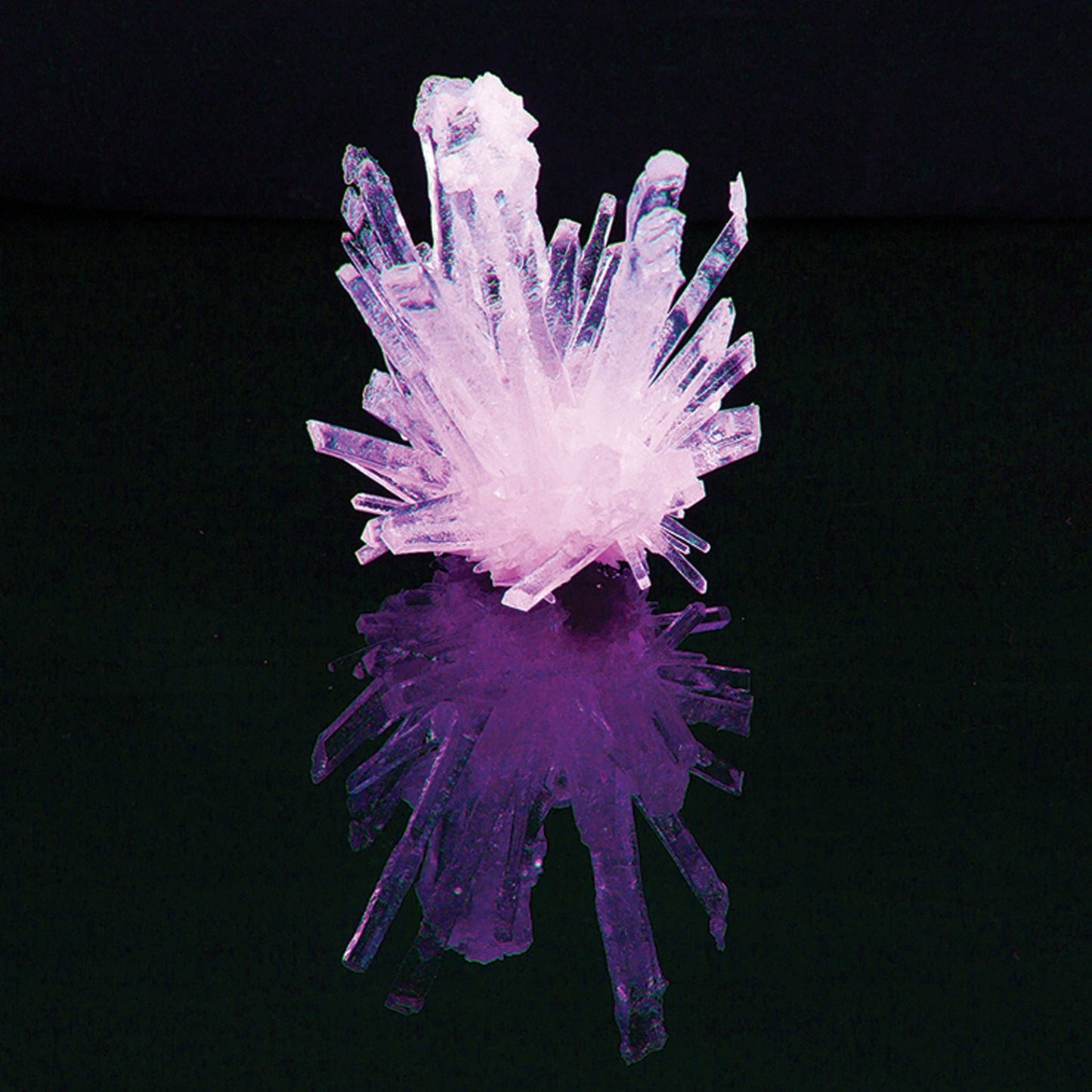 Growing Crystals in Scientific Test Tube