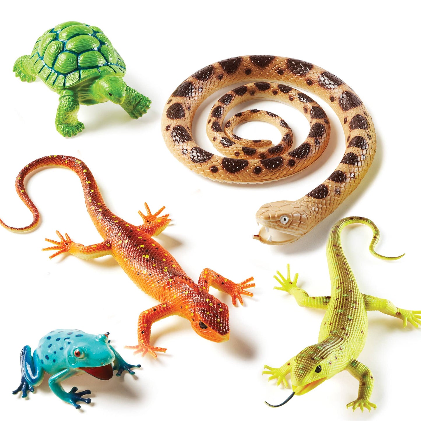 Jumbo Reptiles & Amphibians
