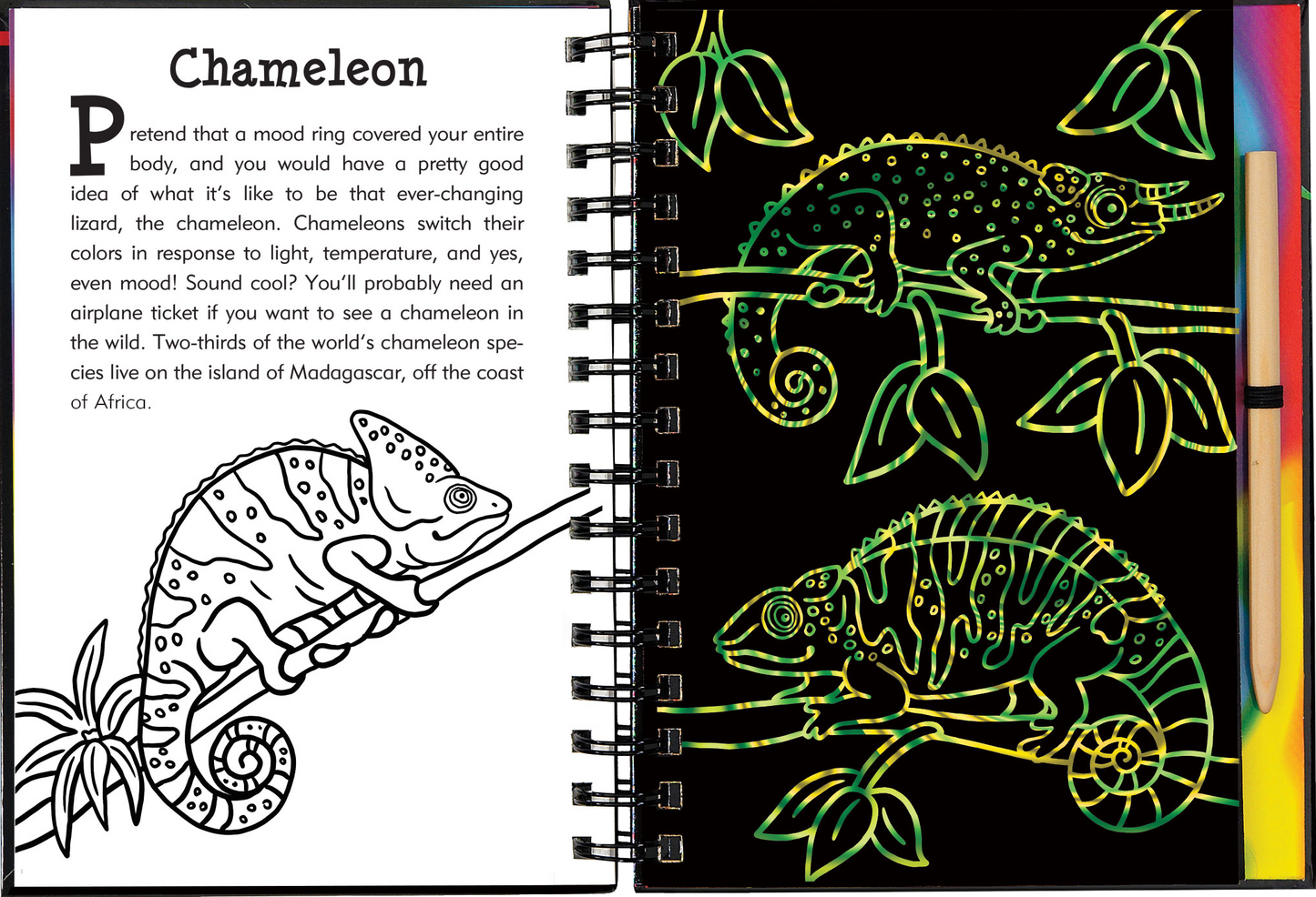Scratch & Sketch™ Rain Forest (Trace Along)