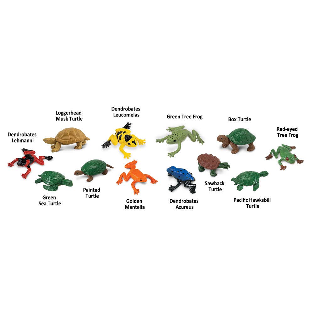 Frogs And Turtles TOOB® - 694804