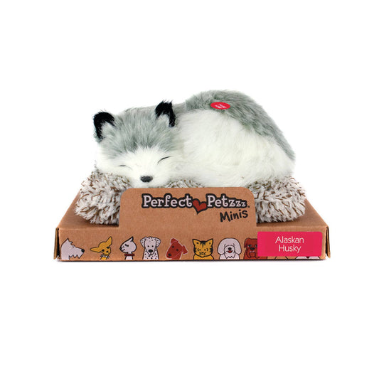 Mini  - Alaskan Husky