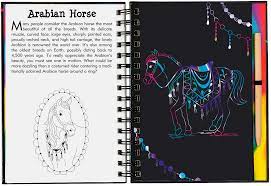 Horses Scratch & Sketch