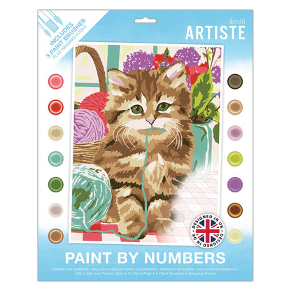 Artiste Paint By Numbers - Cute Kitten